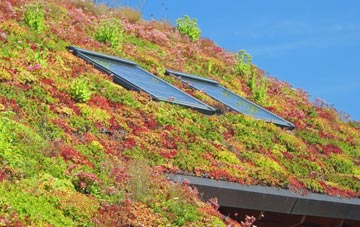 Bridge Of Dee living roof systems