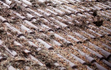 Bridge Of Dee roof cleaning companies