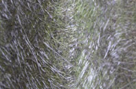 Bridge Of Dee fibreglass roof work